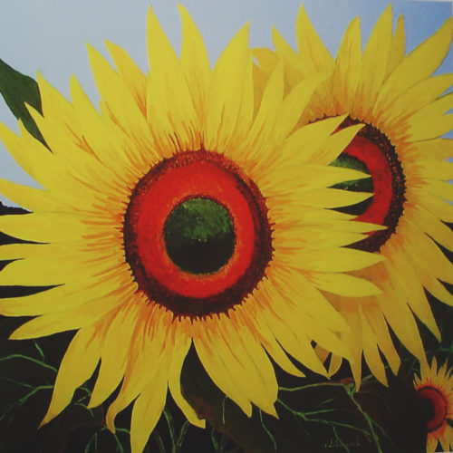 Sunflowers-al-Atardecer 26 x 26 in by Antonio del Moral
