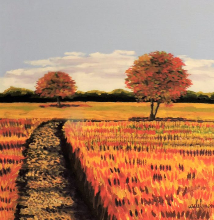 Autumn Country Field