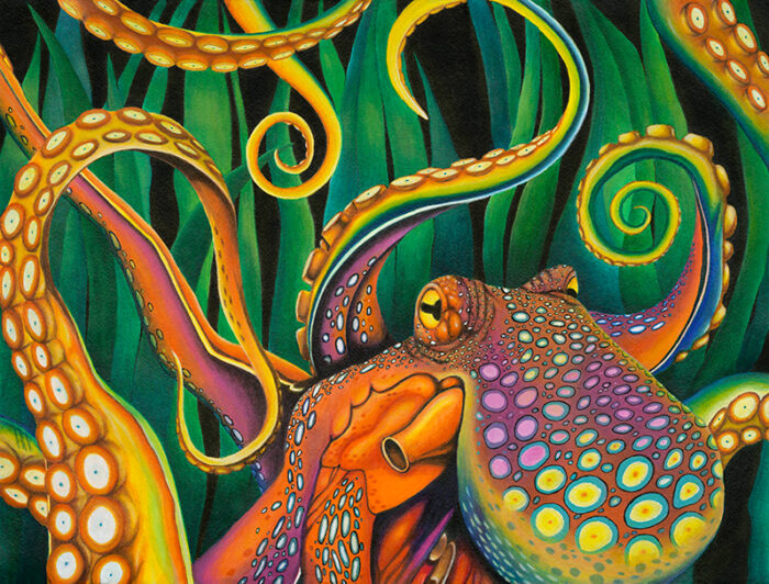 Octopus by Walter Riera