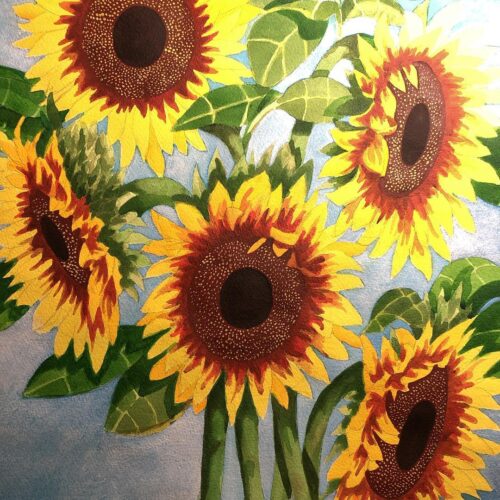 Sunflowers Blooming