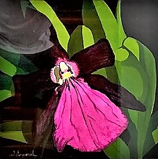 Black Orchid Size13 X 13 “ Unframed   22 X 22 “ Framed Year:  2001 By Antonio del Moral